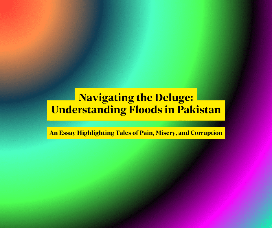 essay on flood situation in pakistan